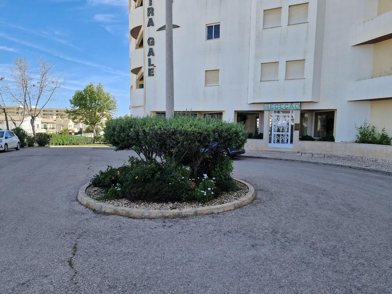 Apartamento T2 Palmeira Gale-Praia Da Gale Guia  Εξωτερικό φωτογραφία